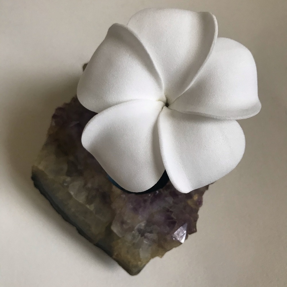 Plumeria flower hair accessory flown in frm Hawaii